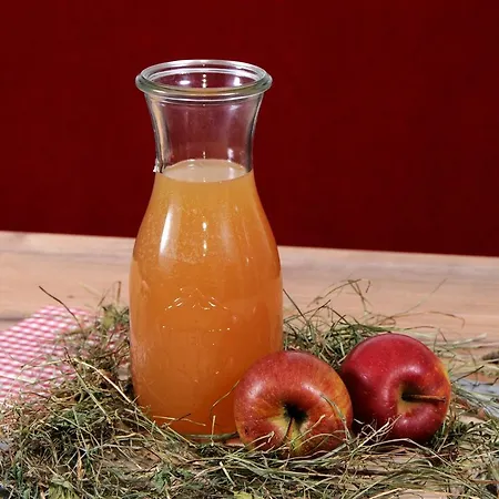 Freihaushof Homestay szállás *