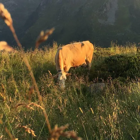 Freihaushof Δωμάτια σε οικογενειακή κατοικία Mayrhofen
