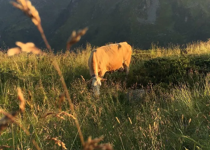 Freihaushof Δωμάτια σε οικογενειακή κατοικία Mayrhofen