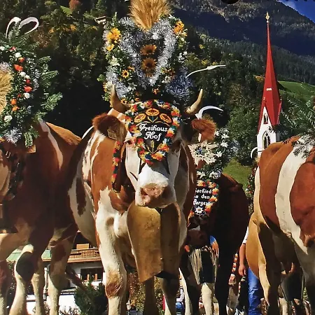 Freihaushof * 迈尔霍芬