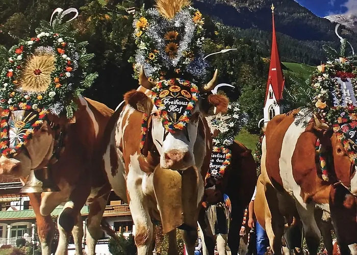 Freihaushof * 迈尔霍芬