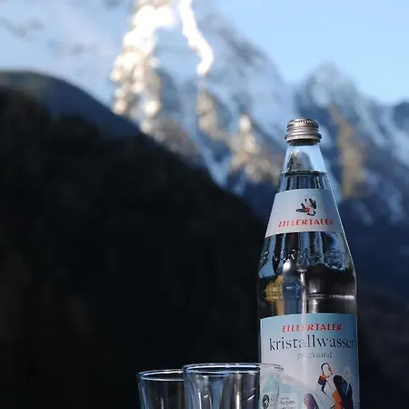 Проживание в семье Freihaushof